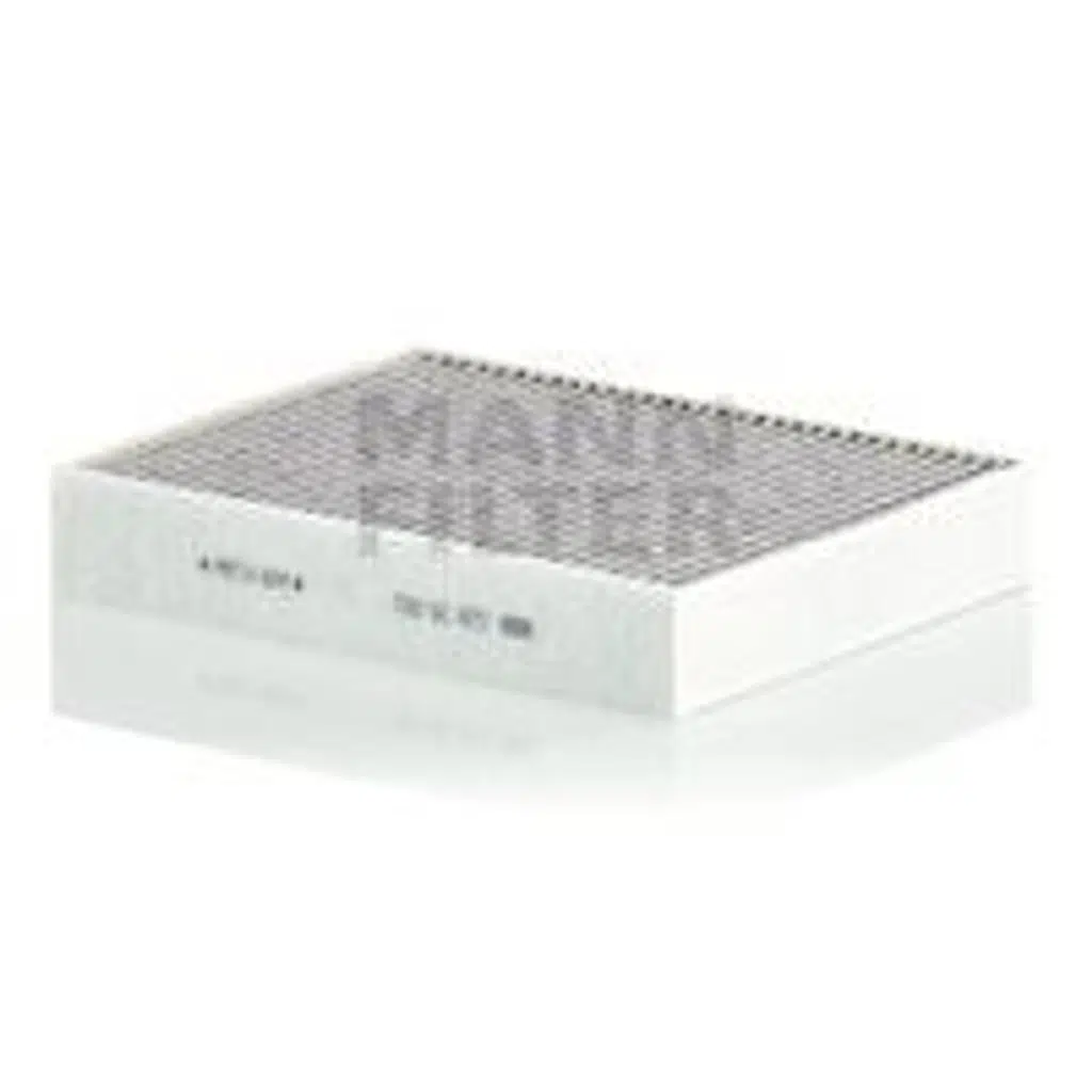 KARBONLU POLEN FILTRESI BMW F20/F21/F30 11- (1 AD )